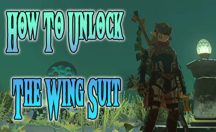 Link in The Wing Suit